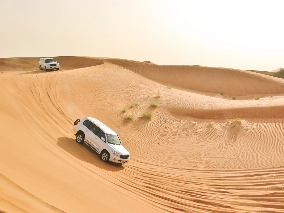 Dubai Desert Safari